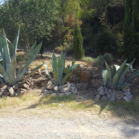 La Loubiere, Ancienne Bergerie En Pleine Garrigue Bed & Breakfast Fraissé-des-Corbières Екстериор снимка