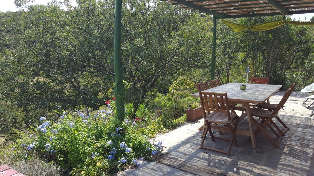 La Loubiere, Ancienne Bergerie En Pleine Garrigue Bed & Breakfast Fraissé-des-Corbières Екстериор снимка