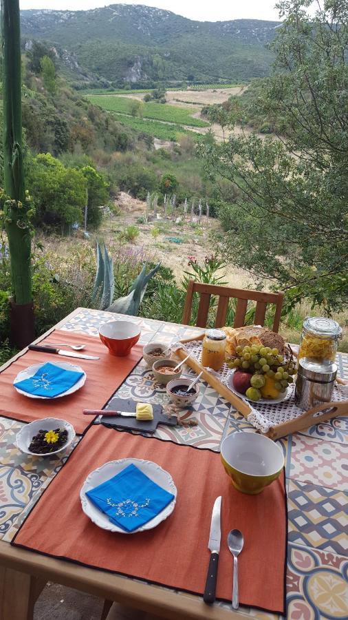 La Loubiere, Ancienne Bergerie En Pleine Garrigue Bed & Breakfast Fraissé-des-Corbières Екстериор снимка