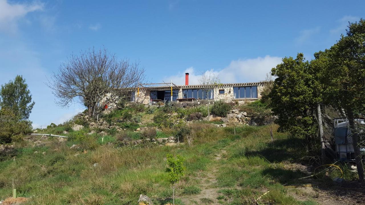 La Loubiere, Ancienne Bergerie En Pleine Garrigue Bed & Breakfast Fraissé-des-Corbières Екстериор снимка