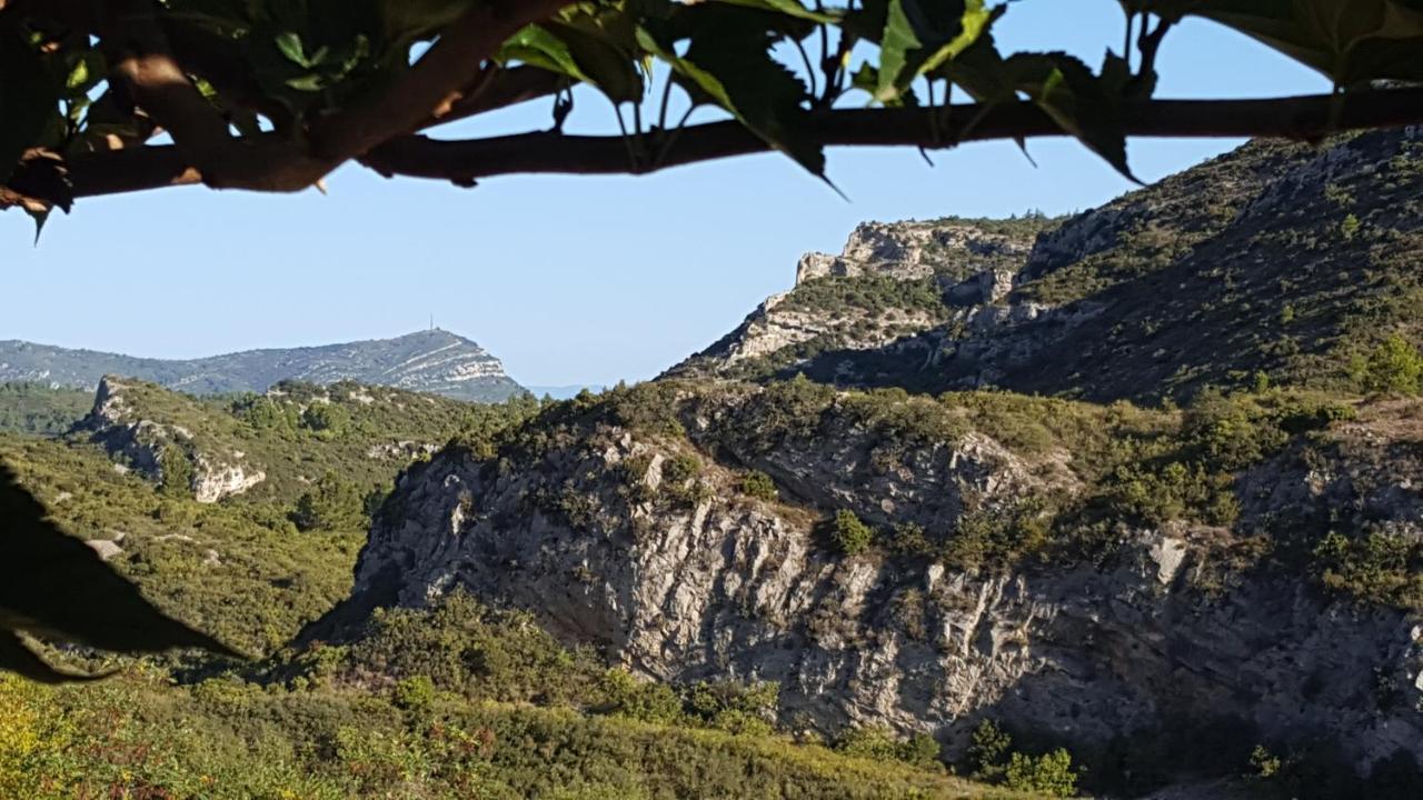 La Loubiere, Ancienne Bergerie En Pleine Garrigue Bed & Breakfast Fraissé-des-Corbières Екстериор снимка