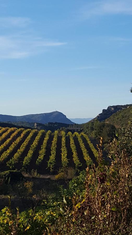 La Loubiere, Ancienne Bergerie En Pleine Garrigue Bed & Breakfast Fraissé-des-Corbières Екстериор снимка