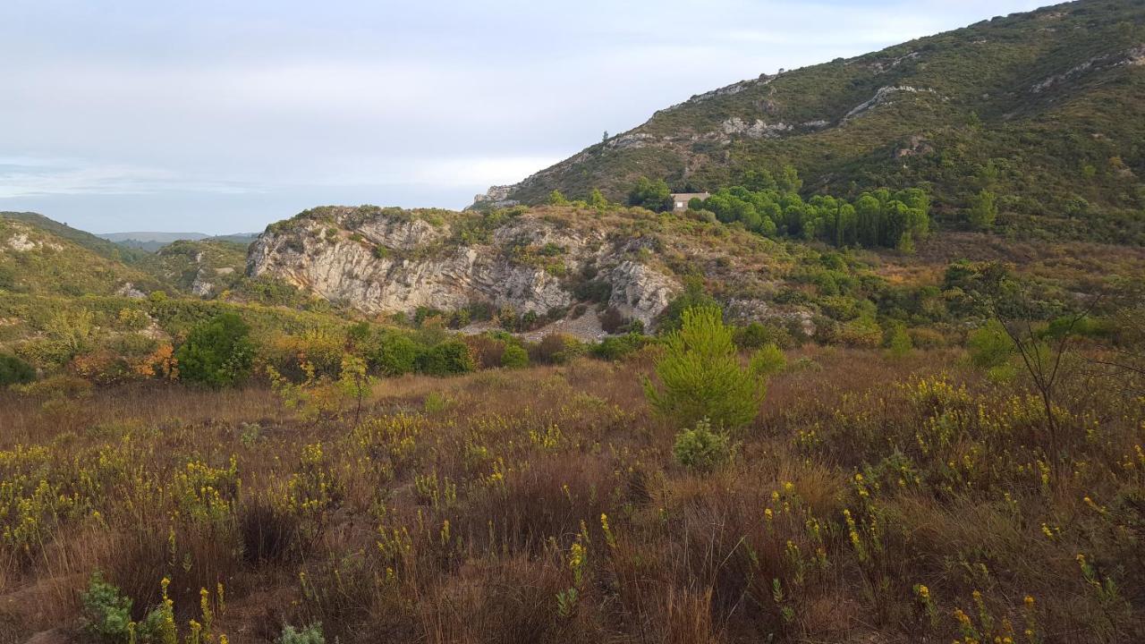 La Loubiere, Ancienne Bergerie En Pleine Garrigue Bed & Breakfast Fraissé-des-Corbières Екстериор снимка