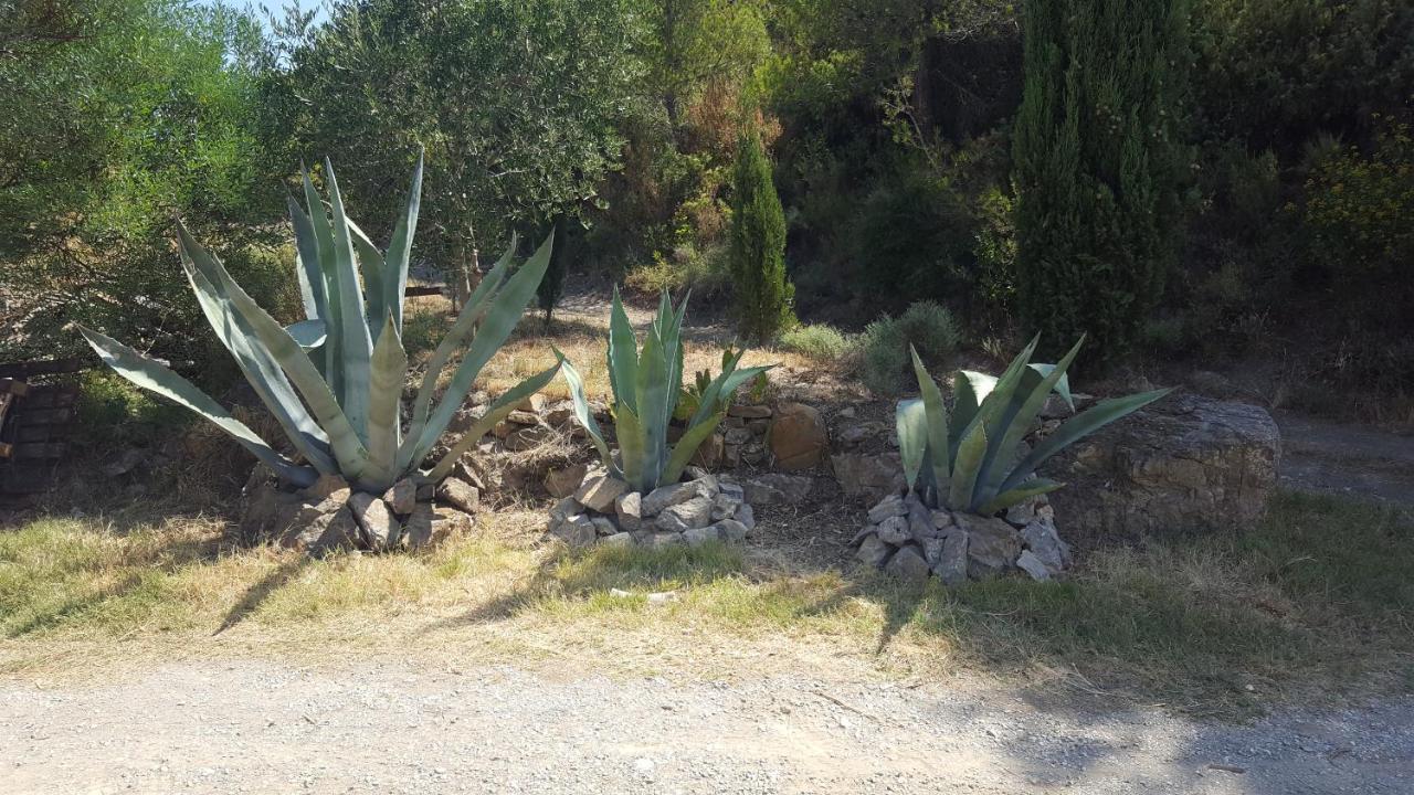 La Loubiere, Ancienne Bergerie En Pleine Garrigue Bed & Breakfast Fraissé-des-Corbières Екстериор снимка